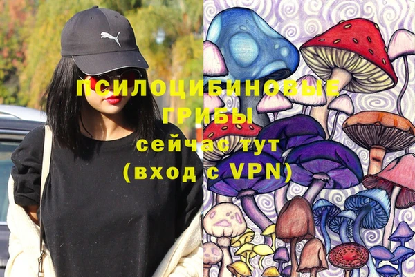 сатива Волоколамск