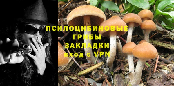 дурь Володарск