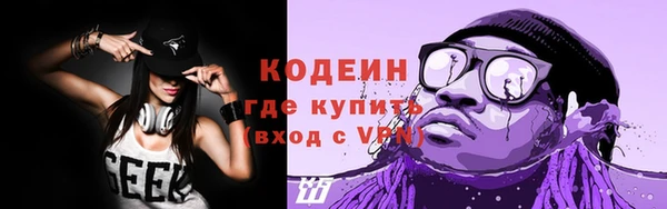 сатива Волоколамск