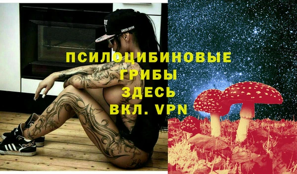 соль ск Волосово