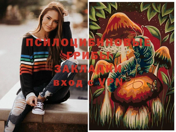 дурь Володарск