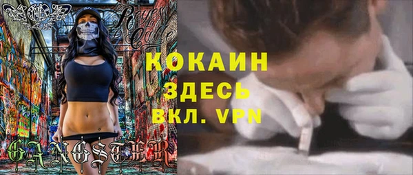 сатива Волоколамск