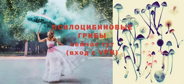 дурь Володарск