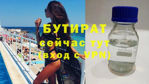 сатива Волоколамск