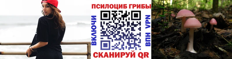 Галлюциногенные грибы Magic Shrooms  ОМГ ОМГ рабочий сайт  Находка 
