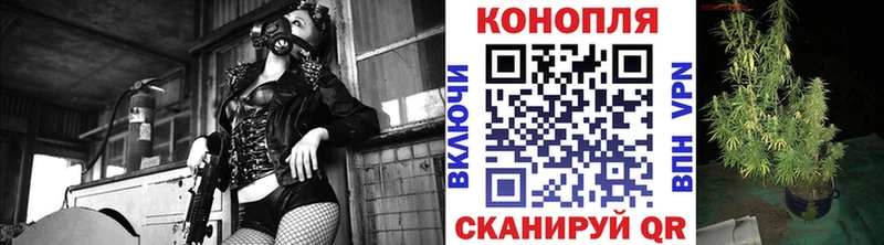 Бошки марихуана ГИДРОПОН Находка